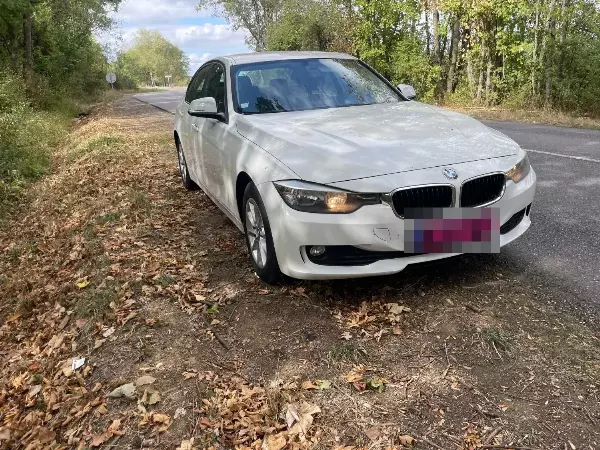 BMW 316i - Vue détaillée 2